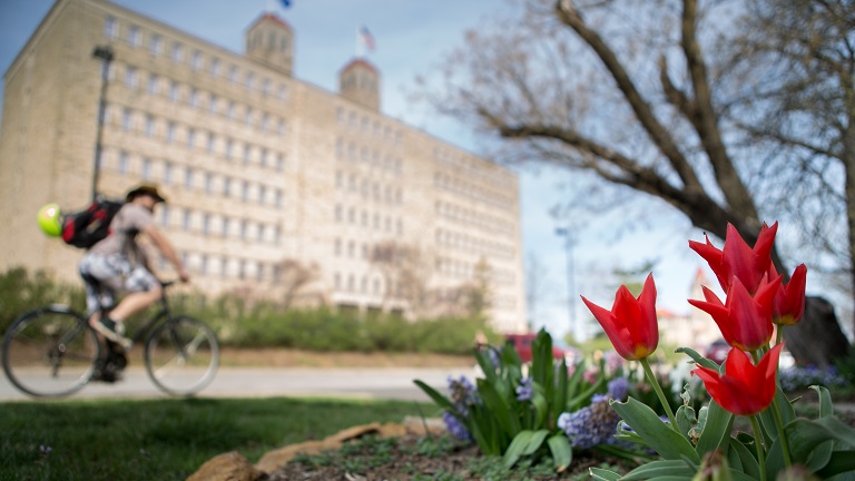 Bicyclist riding by Fraser Hall with tulips in the foreground
